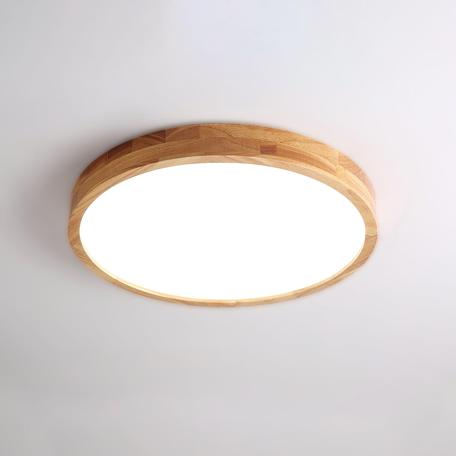 Weliva Ceiling Light