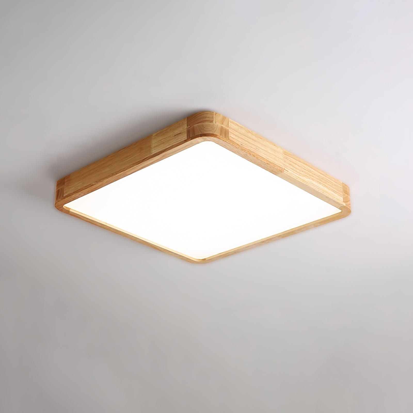 Weliva Ceiling Light