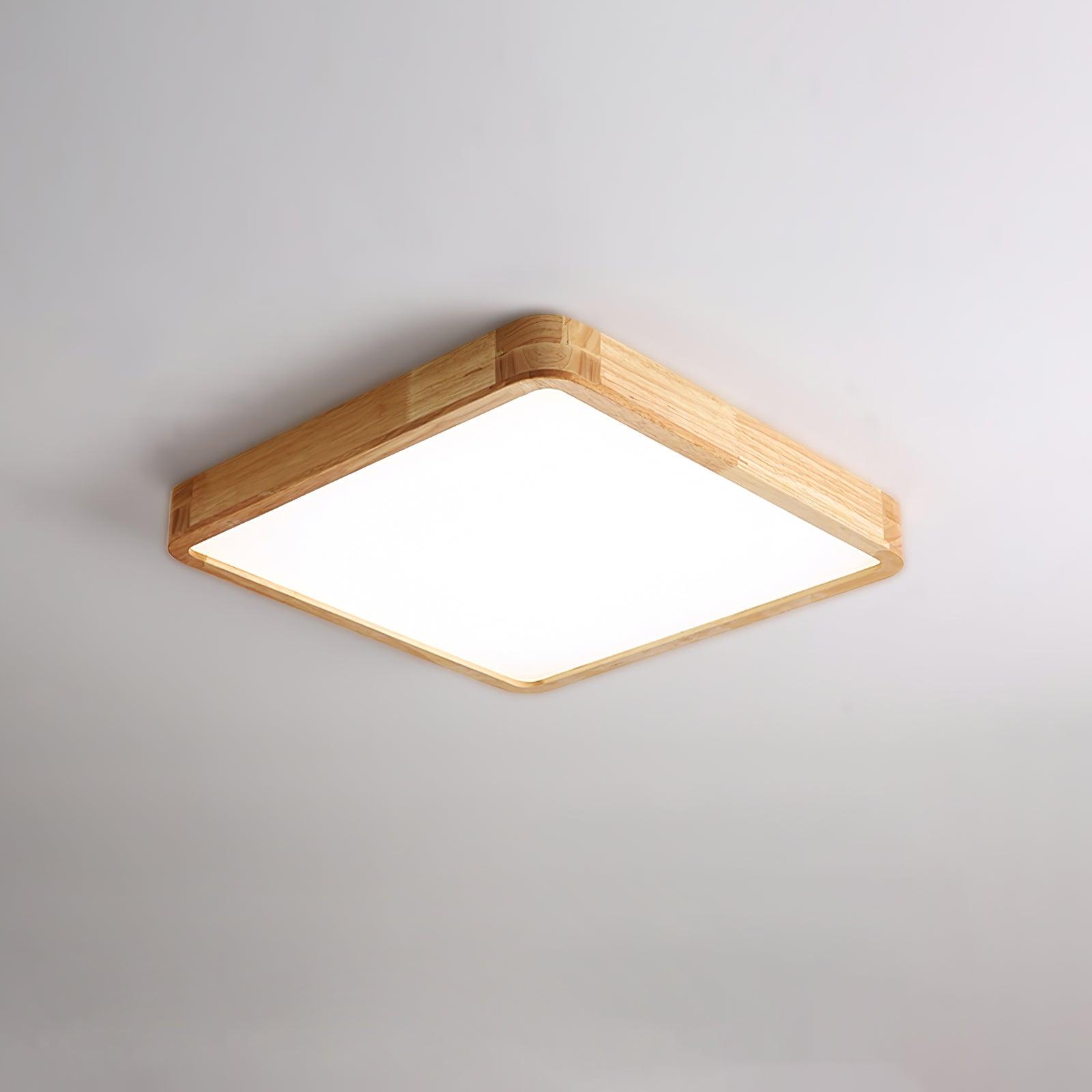 Weliva Ceiling Light