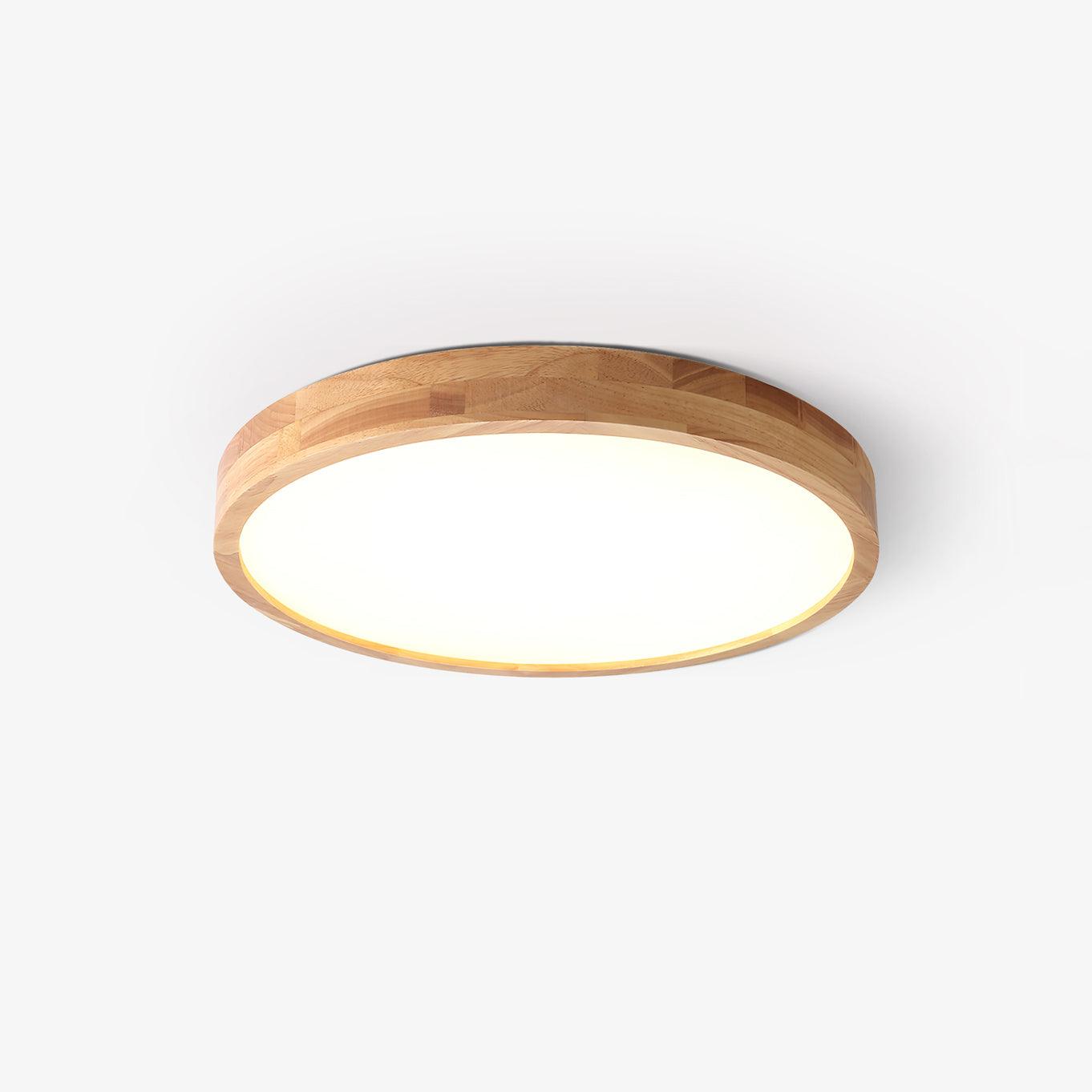 Weliva Ceiling Light