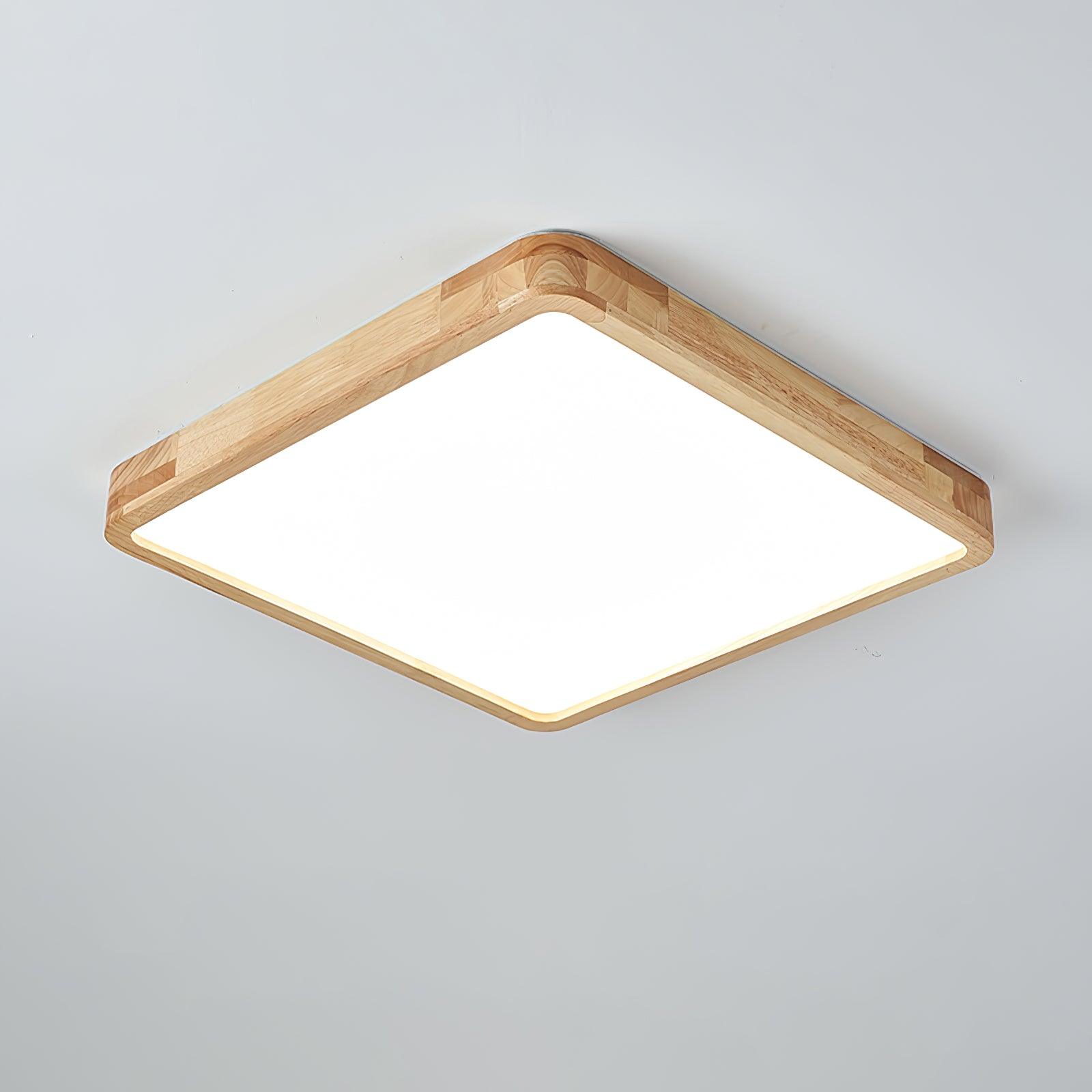 Weliva Ceiling Light