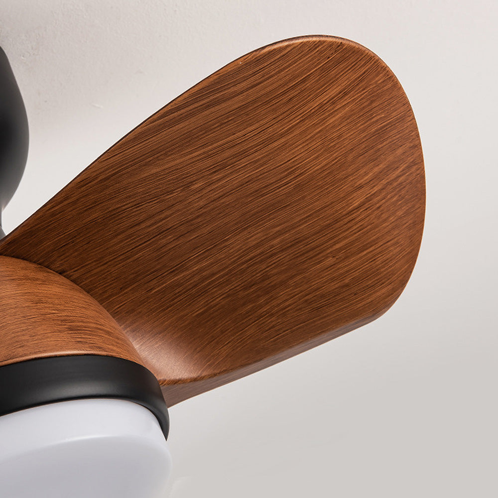 Zareni LED Ceiling Fan