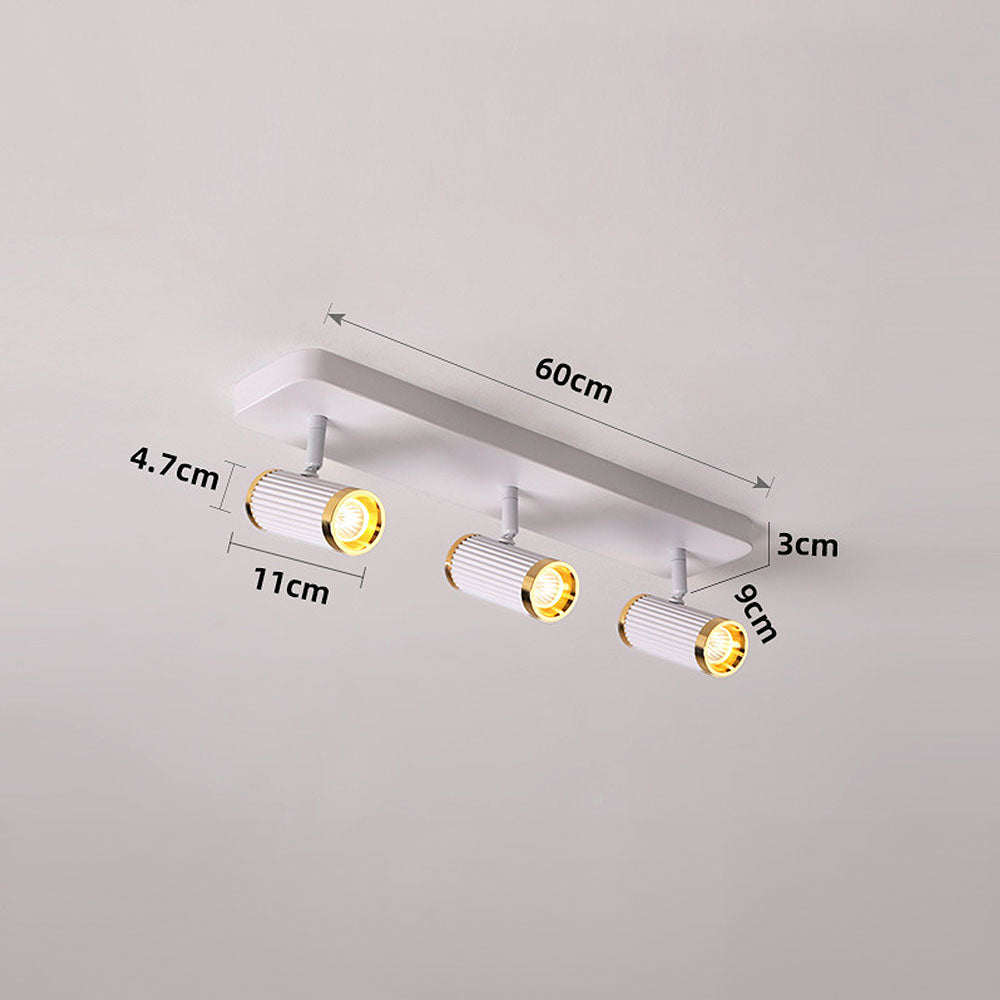 Celzilo Ceiling Light