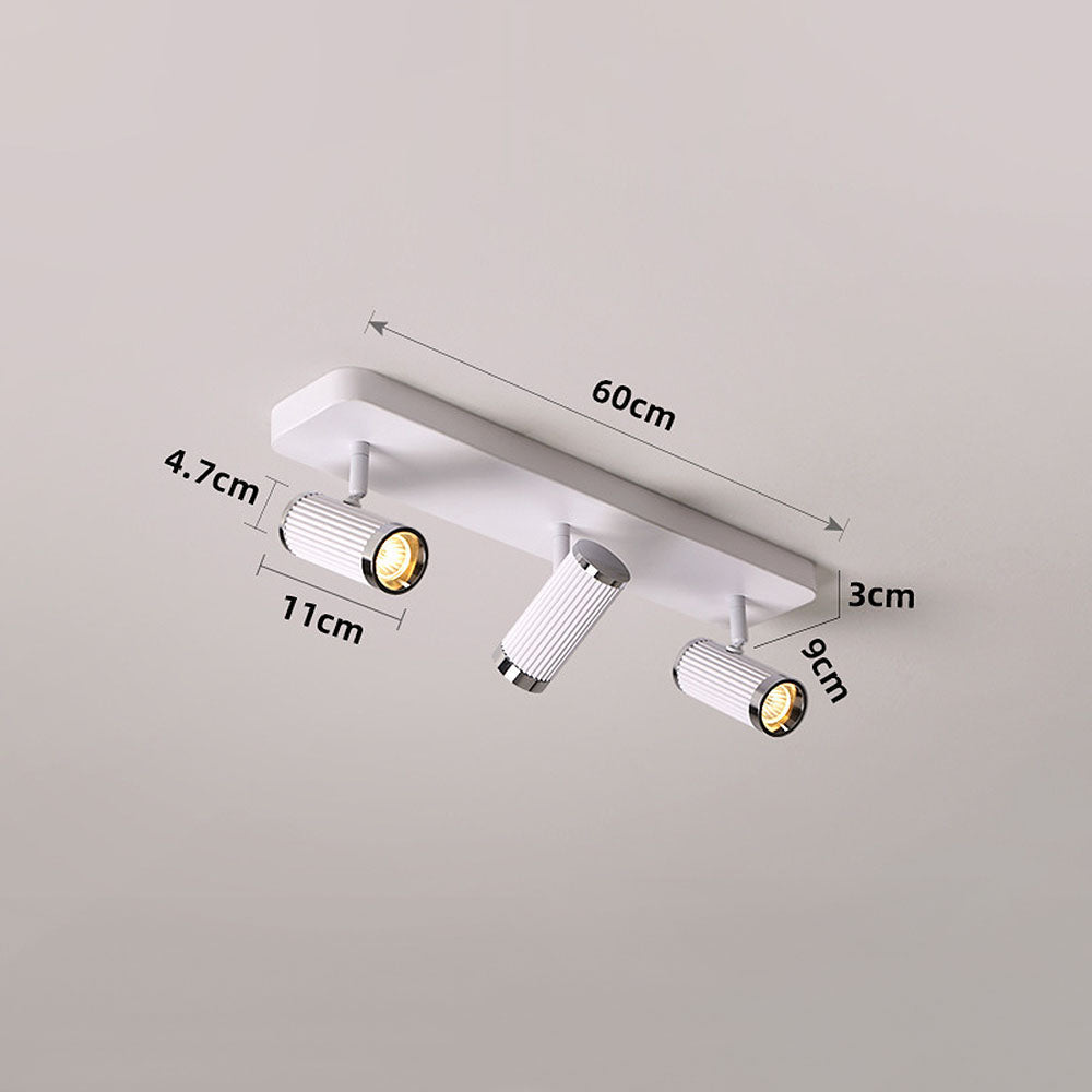 Celzilo Ceiling Light