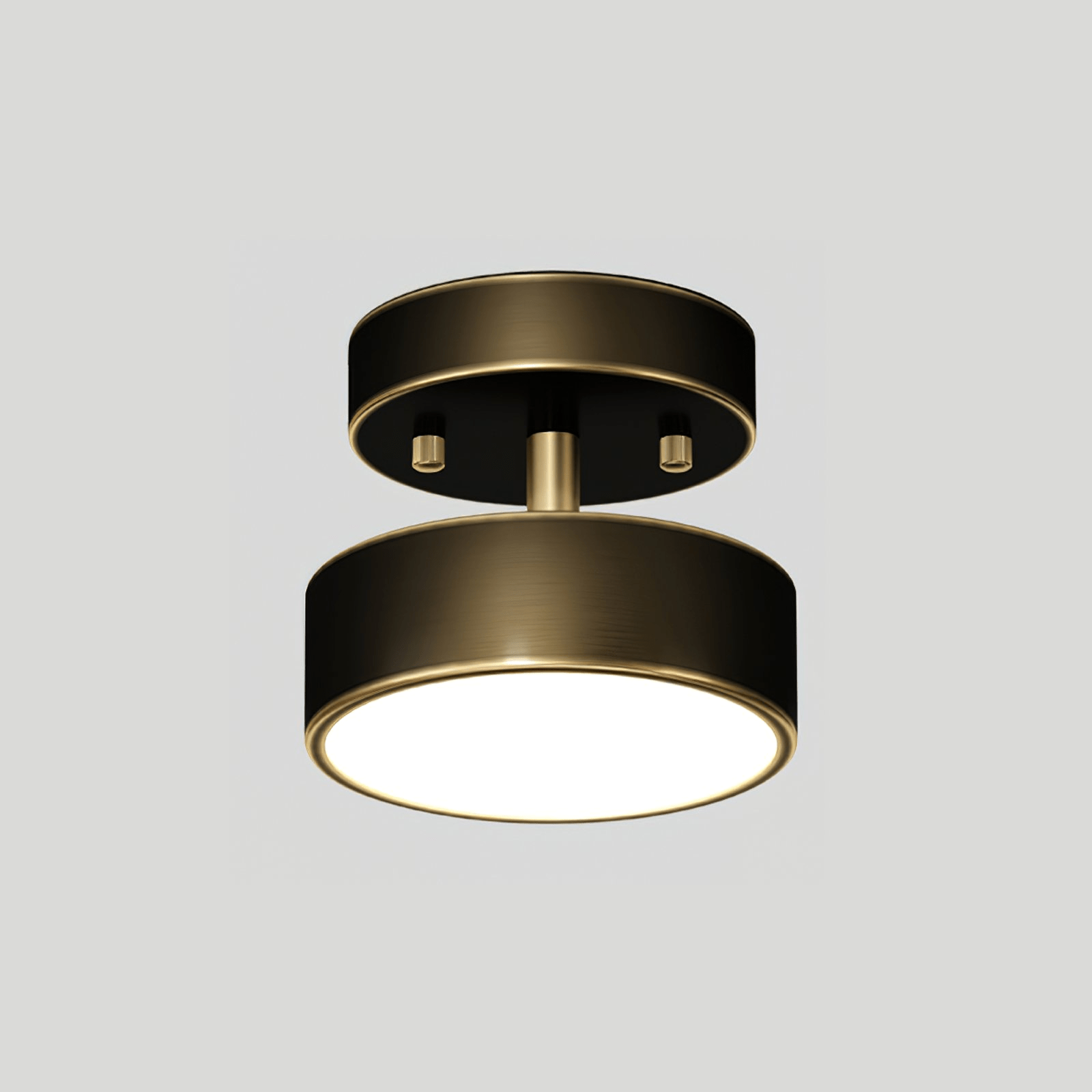 Seccon Ceiling Light