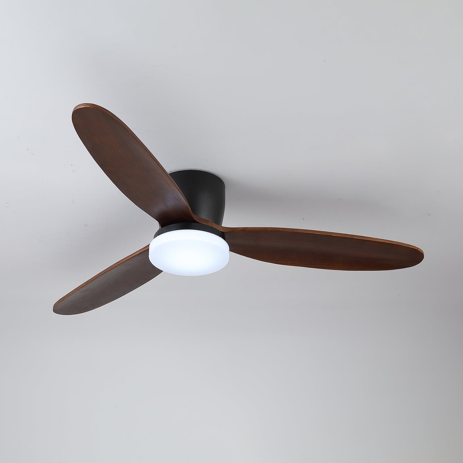 Nesorim Ceiling Fan