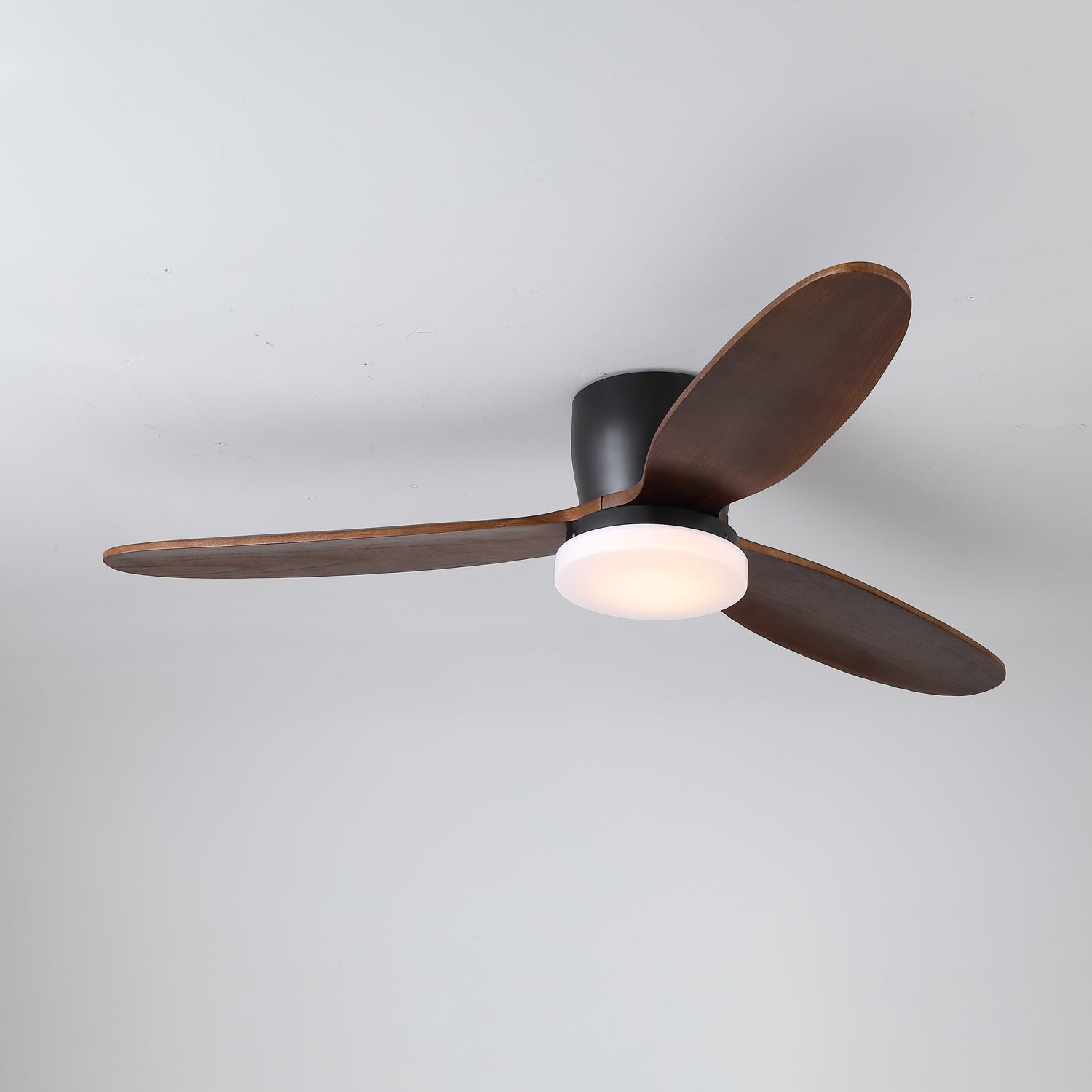 Nesorim Ceiling Fan