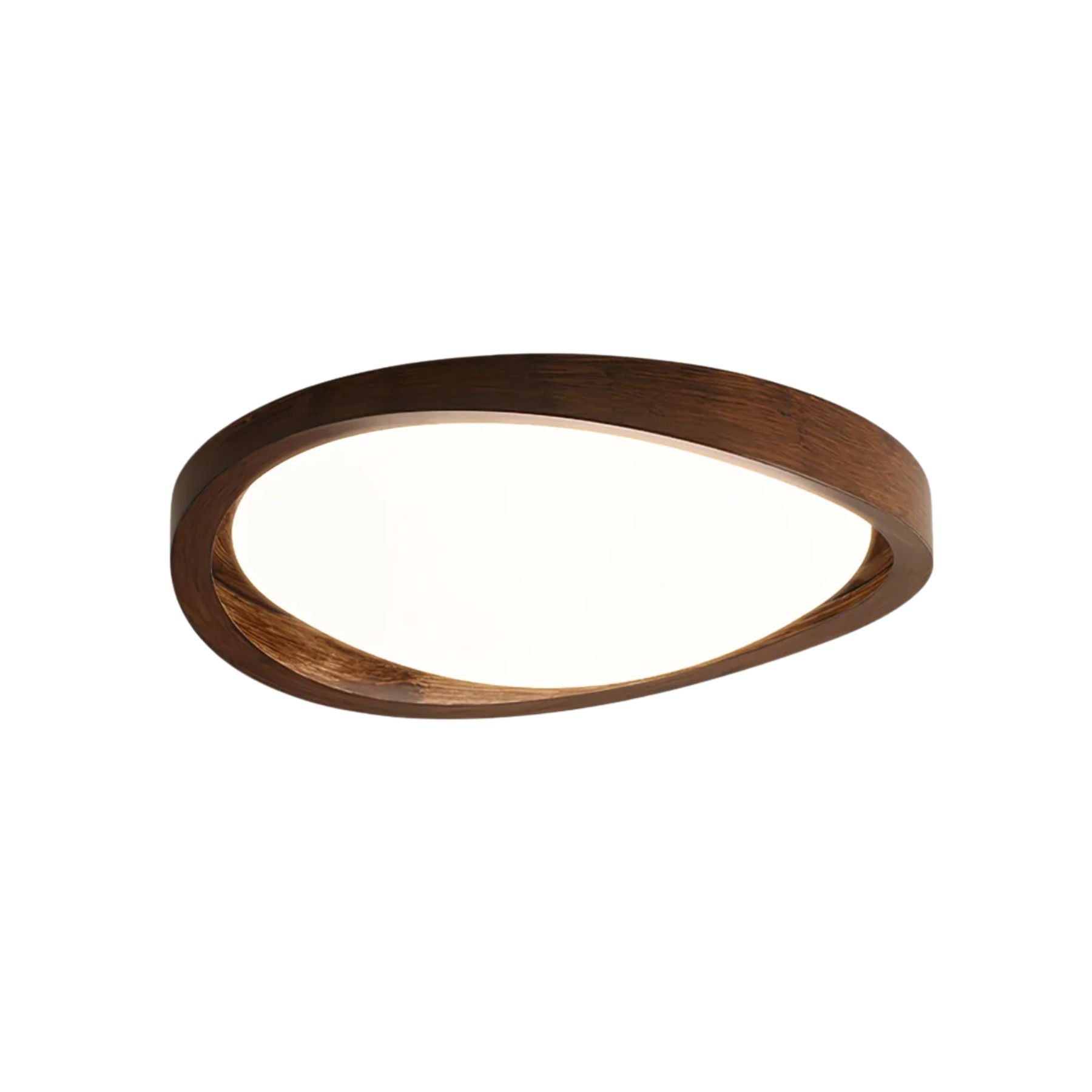 Ecuvon Ceiling Light