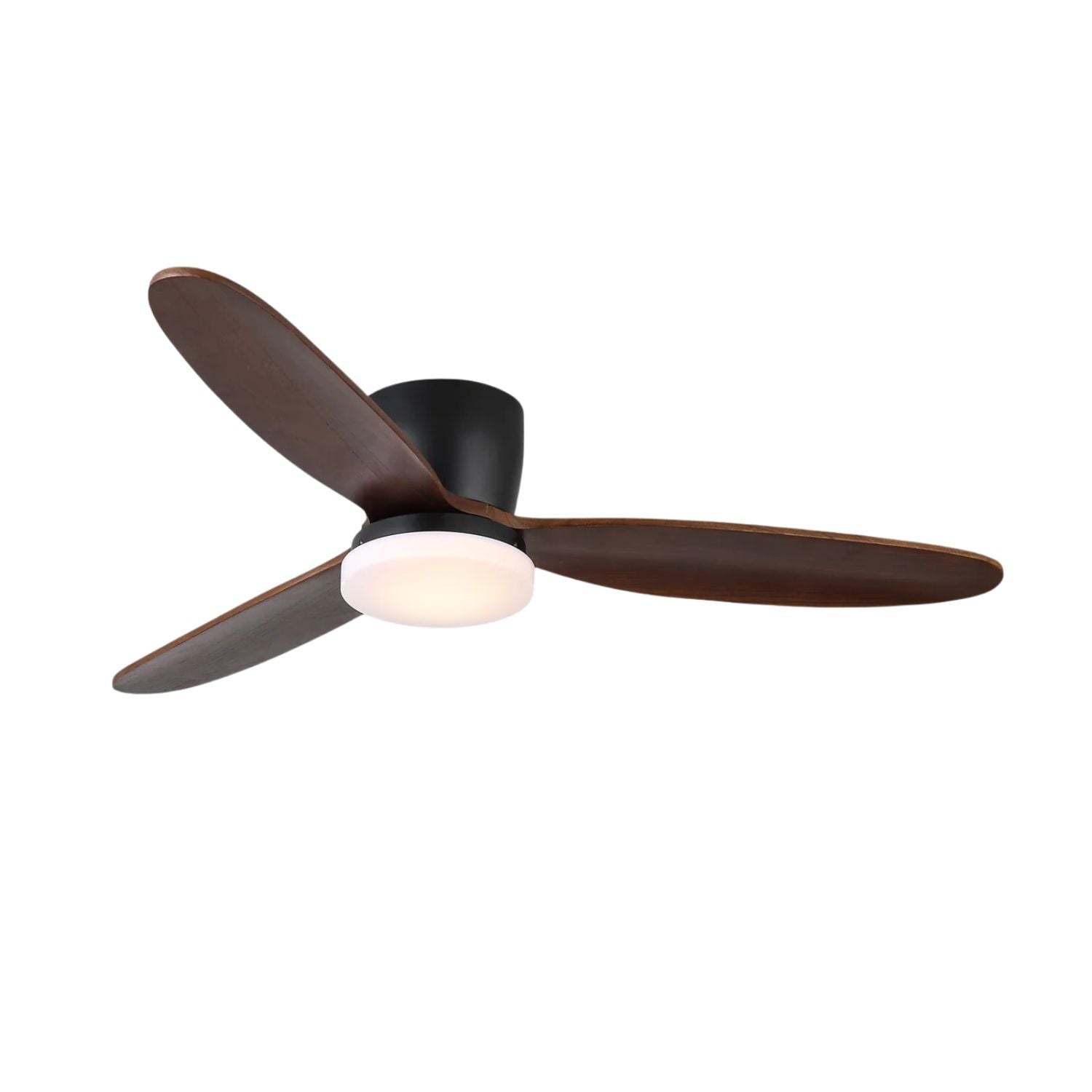 Nesorim Ceiling Fan
