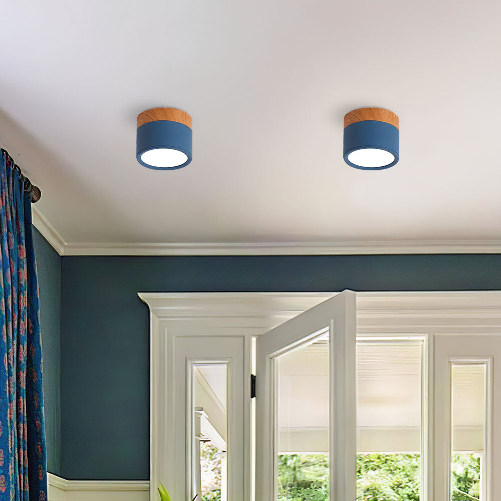 Cylinder Small Ceiling Light