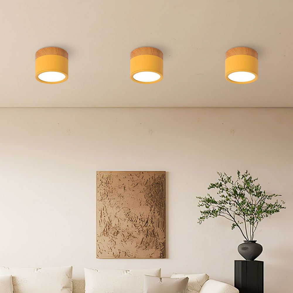 Cylinder Small Ceiling Light