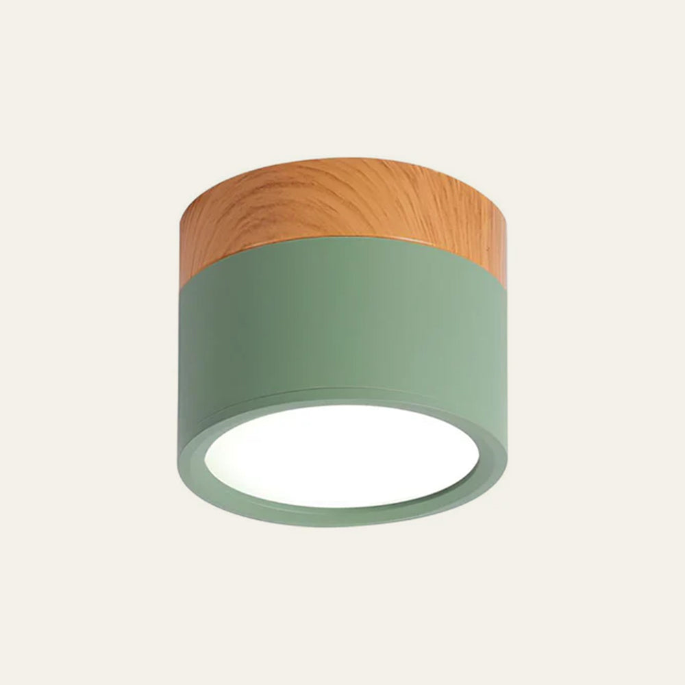 Cylinder Small Ceiling Light