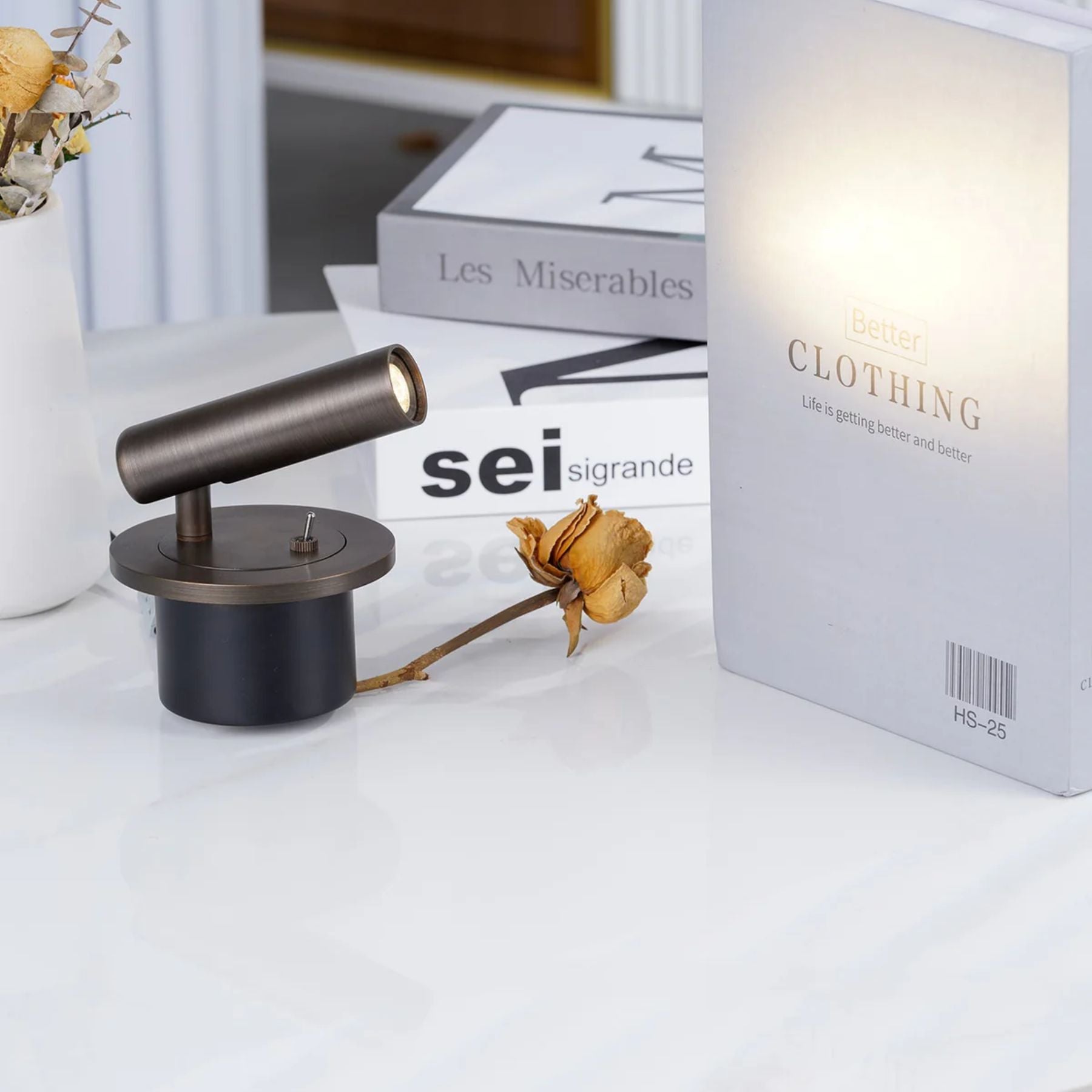Lune Reading Light