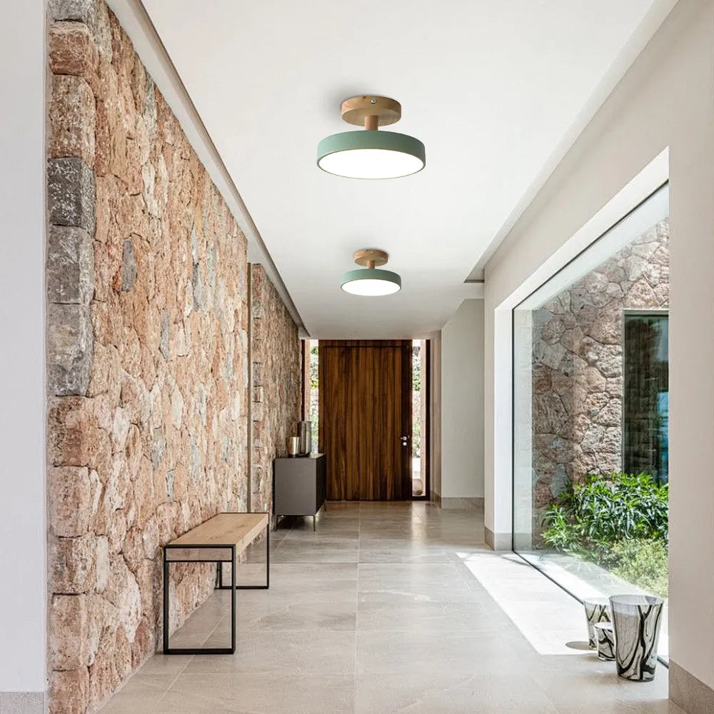 Pedol Ceiling Light