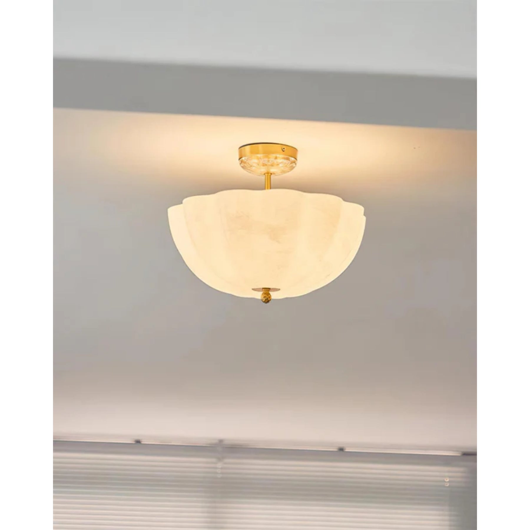 Arelin Ceiling Light