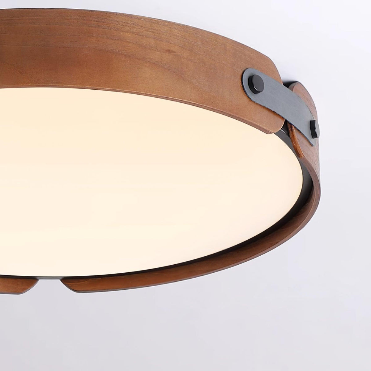 Bomildel Outdoor Ceiling Light