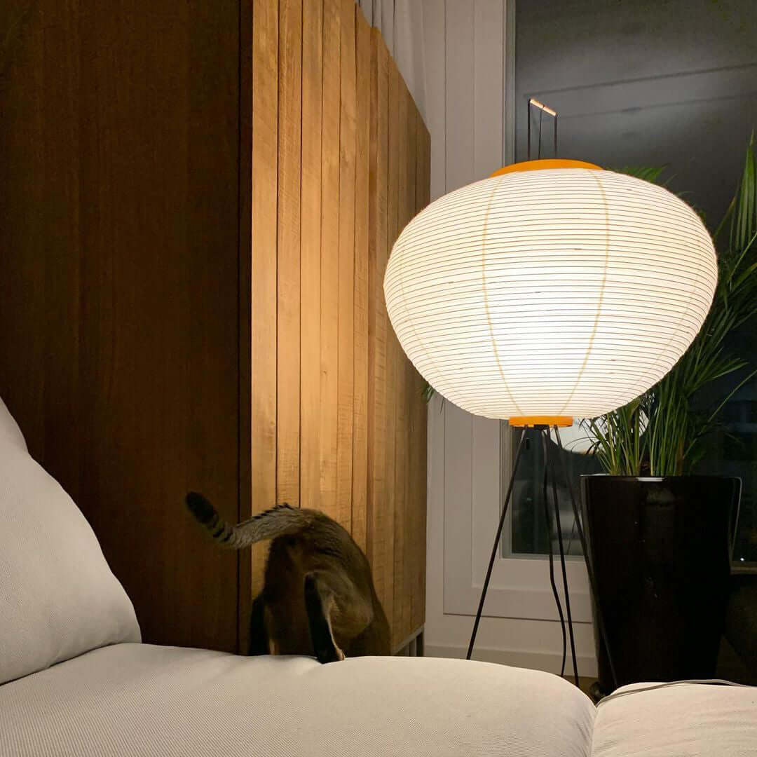 Lavon Rice Paper Floor Lamp