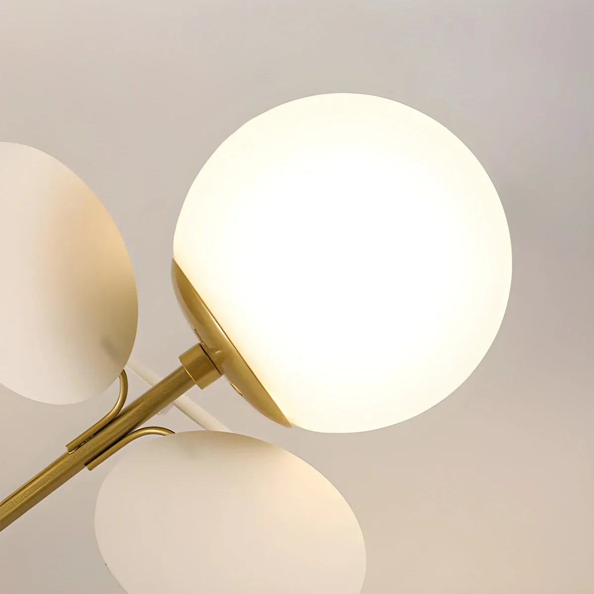 Floyizo Ceiling Light