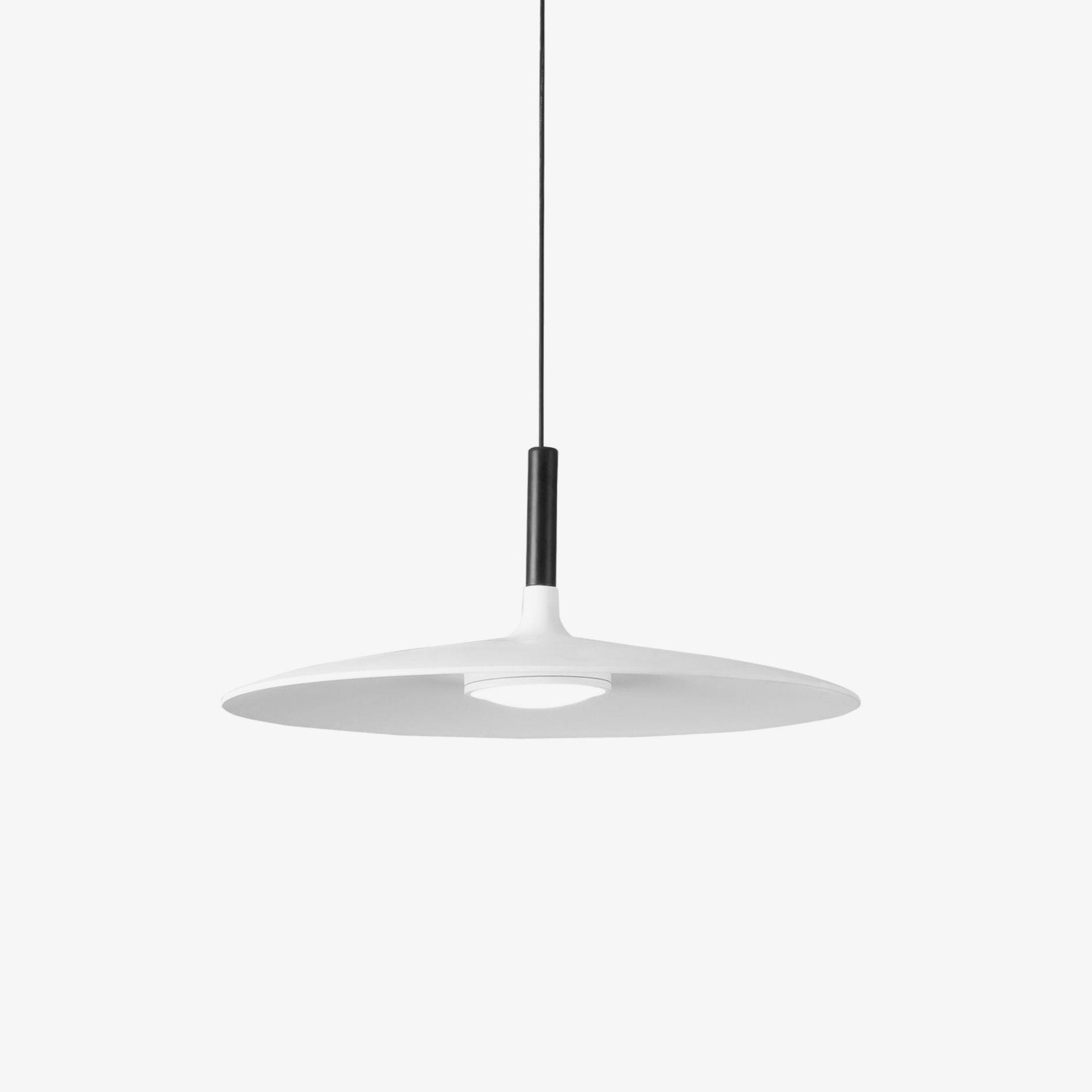 Alomb Metal Pendant Light