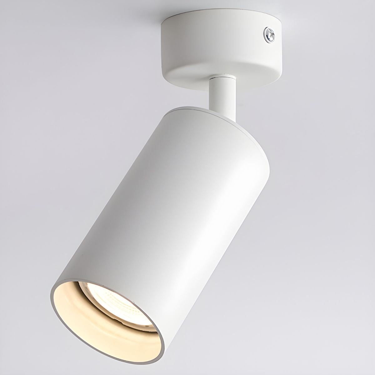 Alzo Spotlight Ceiling Light