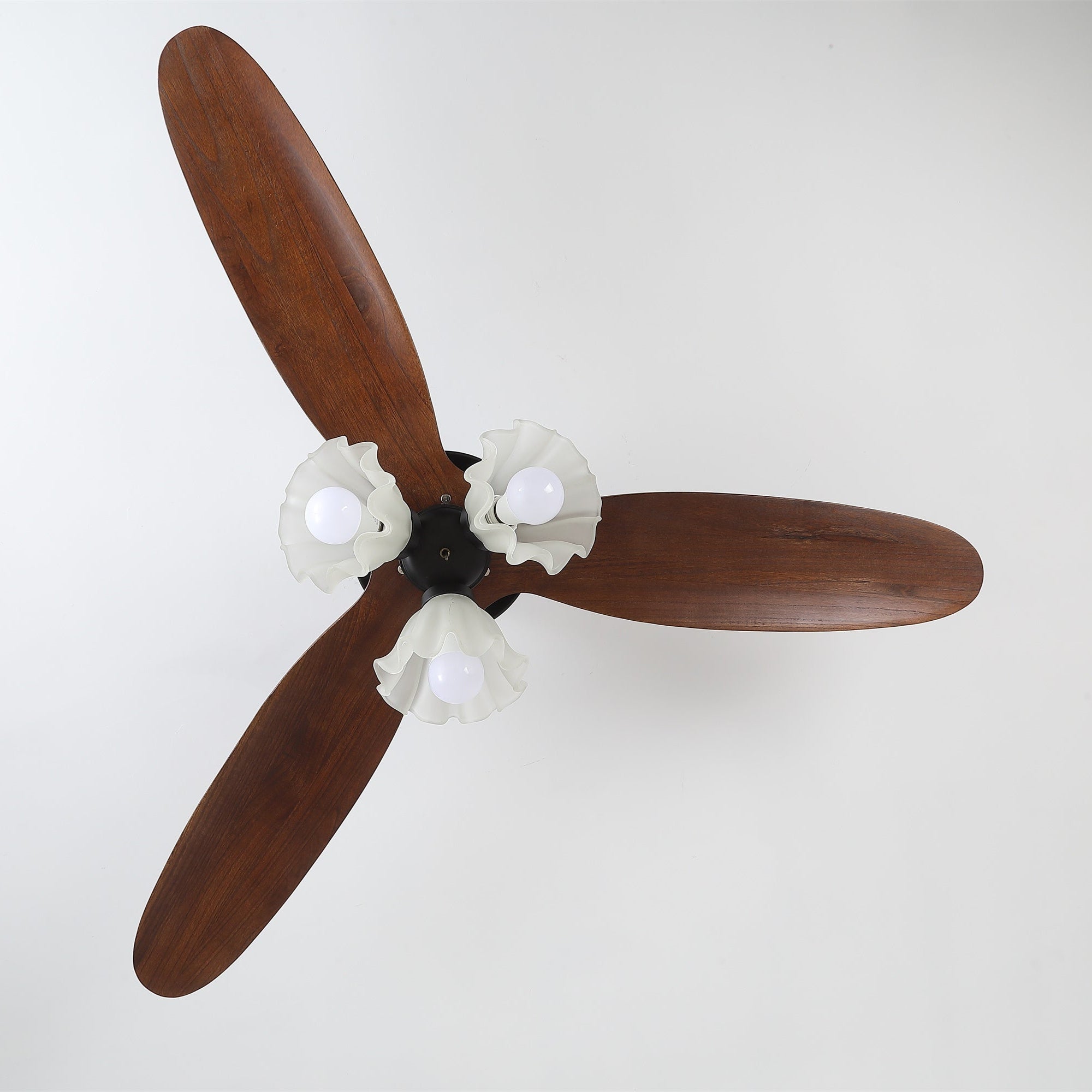 Tolsa Ceiling Fan