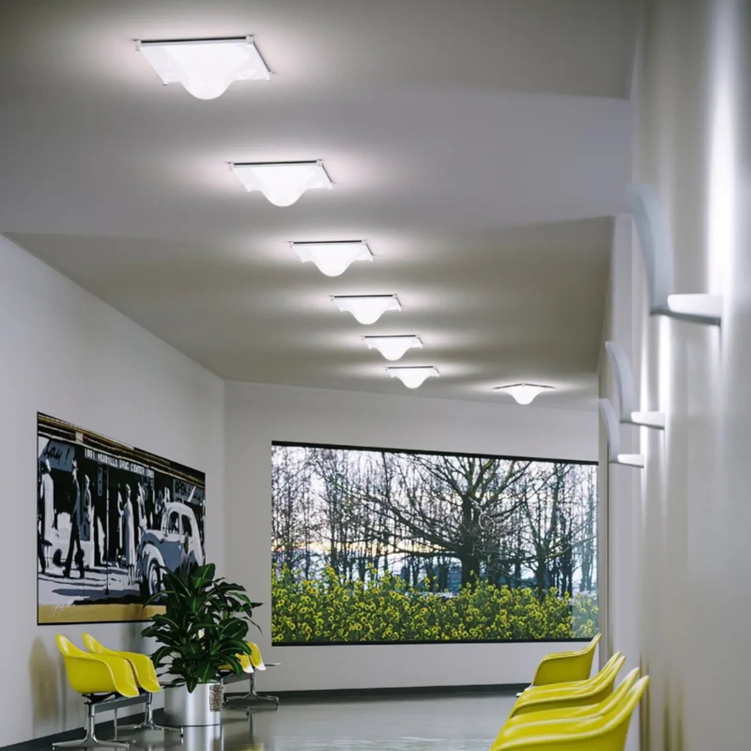 Cebolla Ceiling Light
