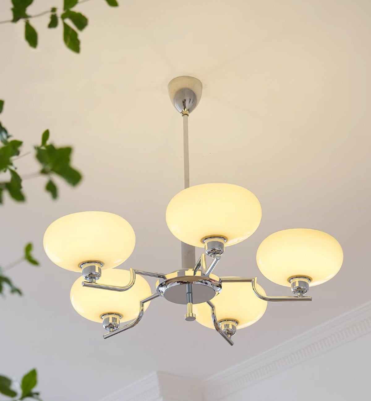 Zolarini Modern Chandelier