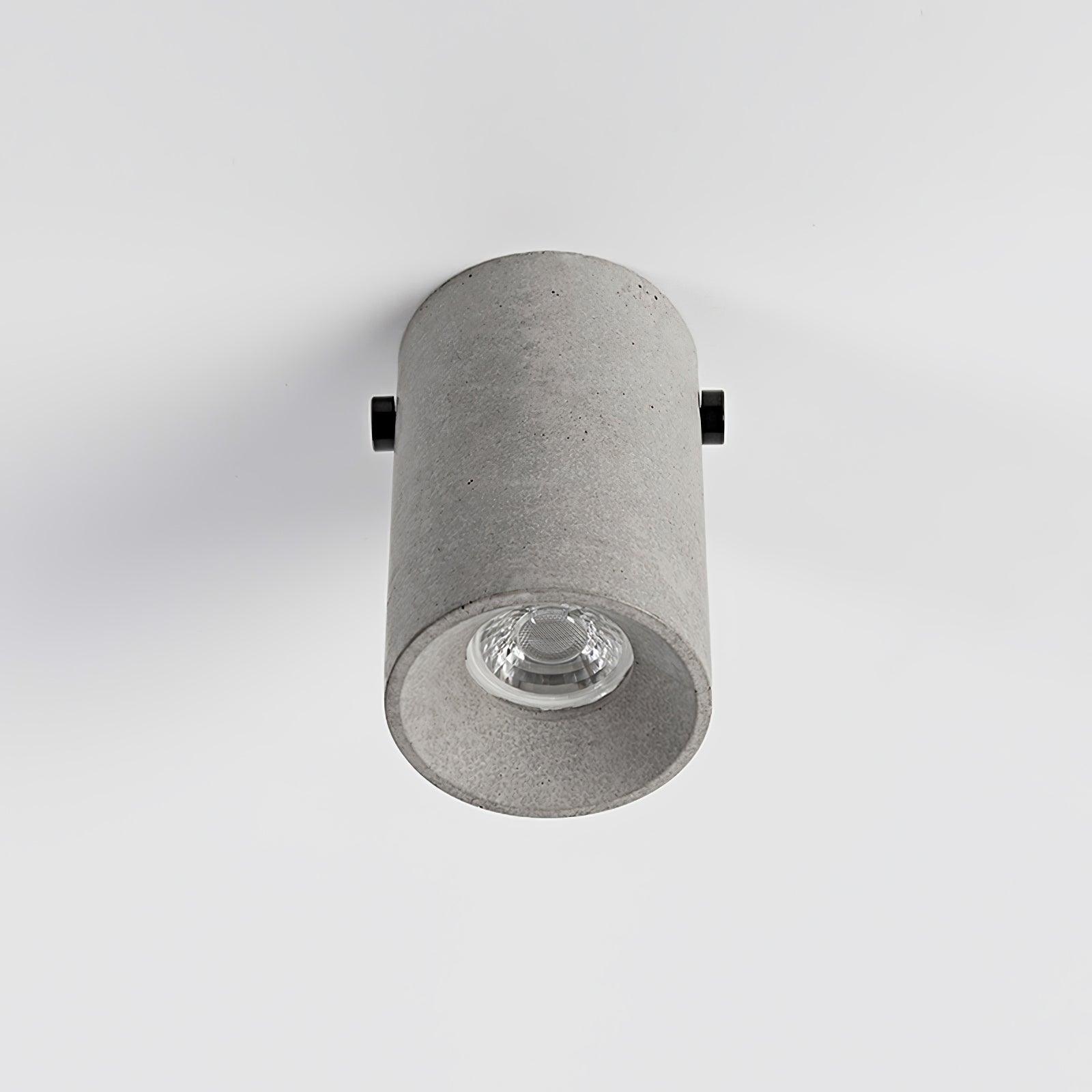 Concal Ceiling Light