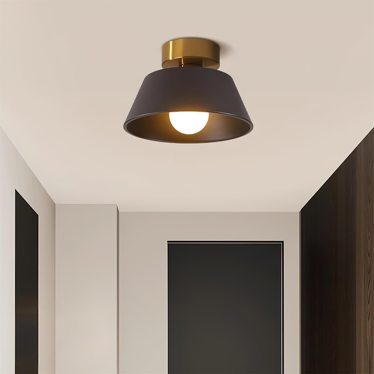 Lesco Ceiling Light