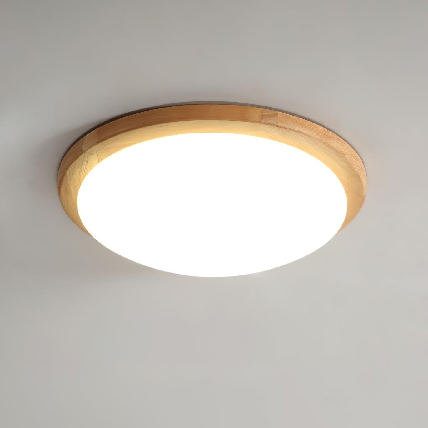 Domesc Ceiling Light