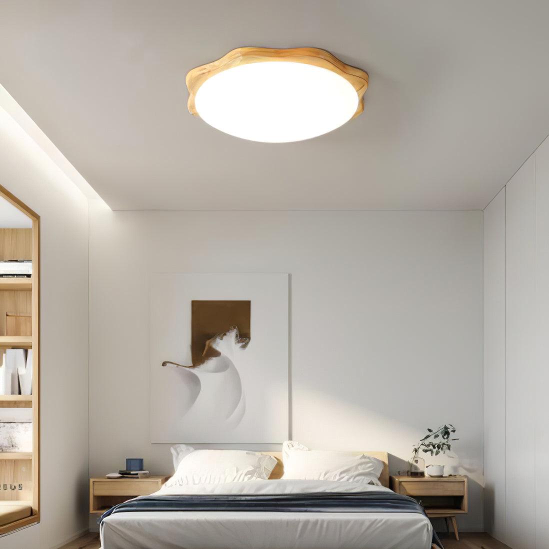 Domesc Ceiling Light