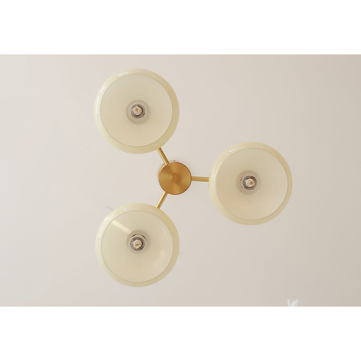 Vindo Oval Chandelier