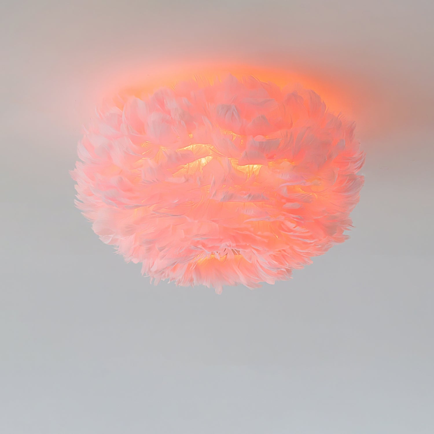 Feather Design Ceiling Light