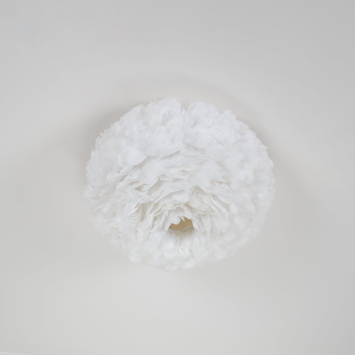 Feather Design Ceiling Light