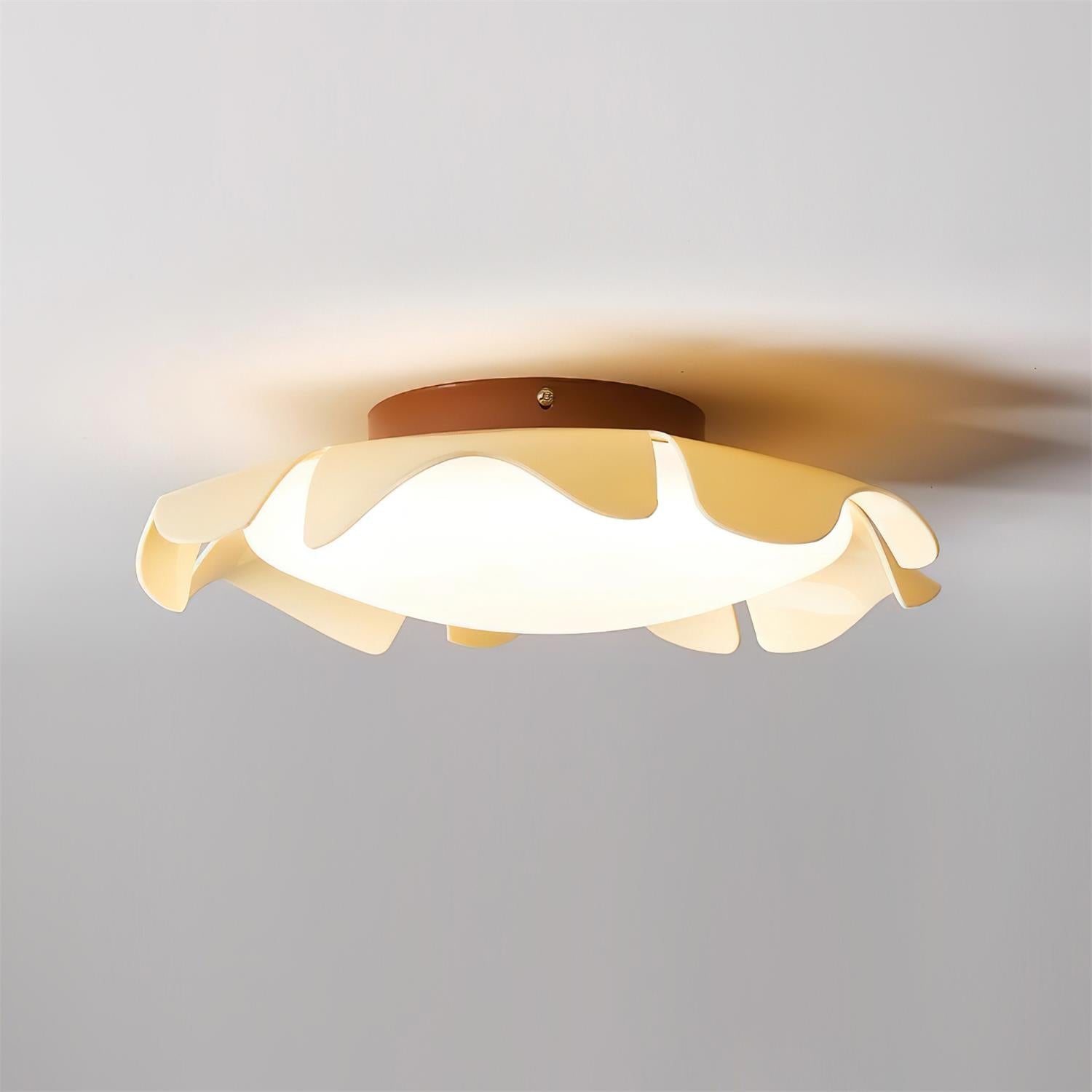 Fleiza Ceiling Light