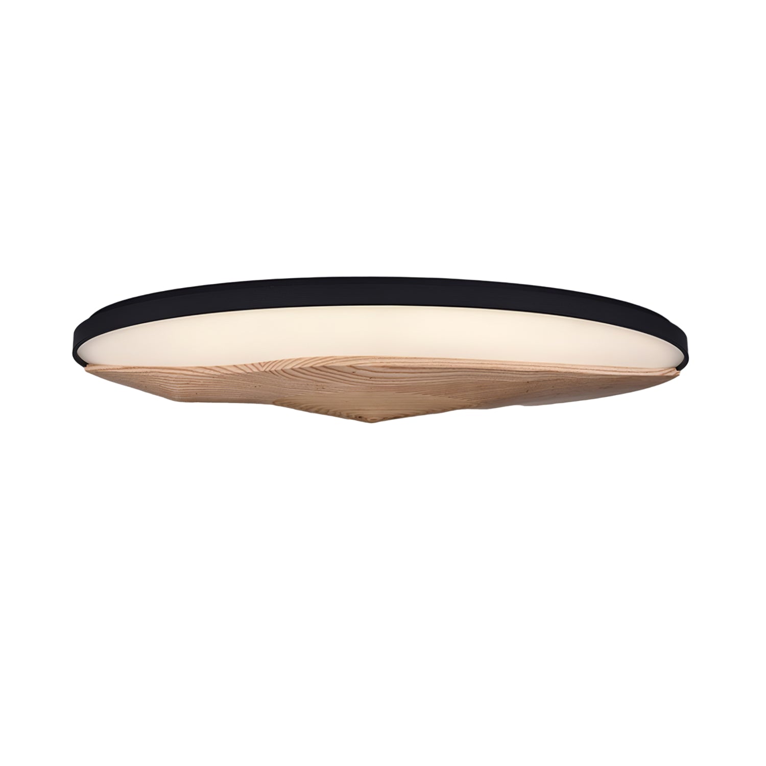 Geo Landscape Ceiling Light