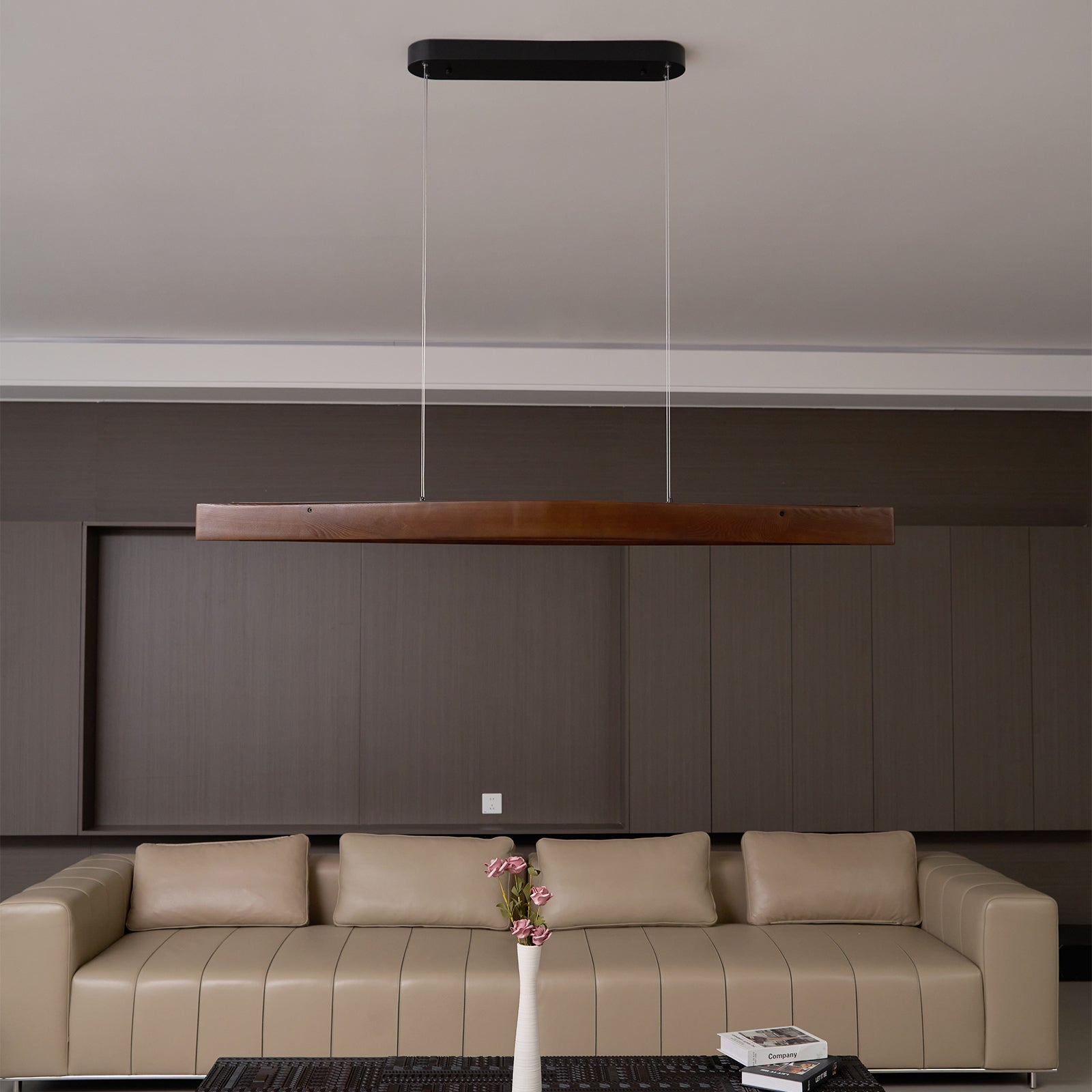 Homezya Pendant Light
