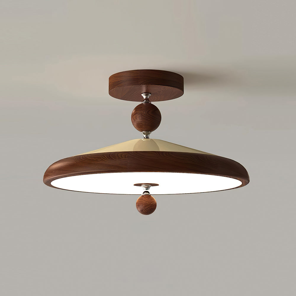 Telisoma Ceiling Light