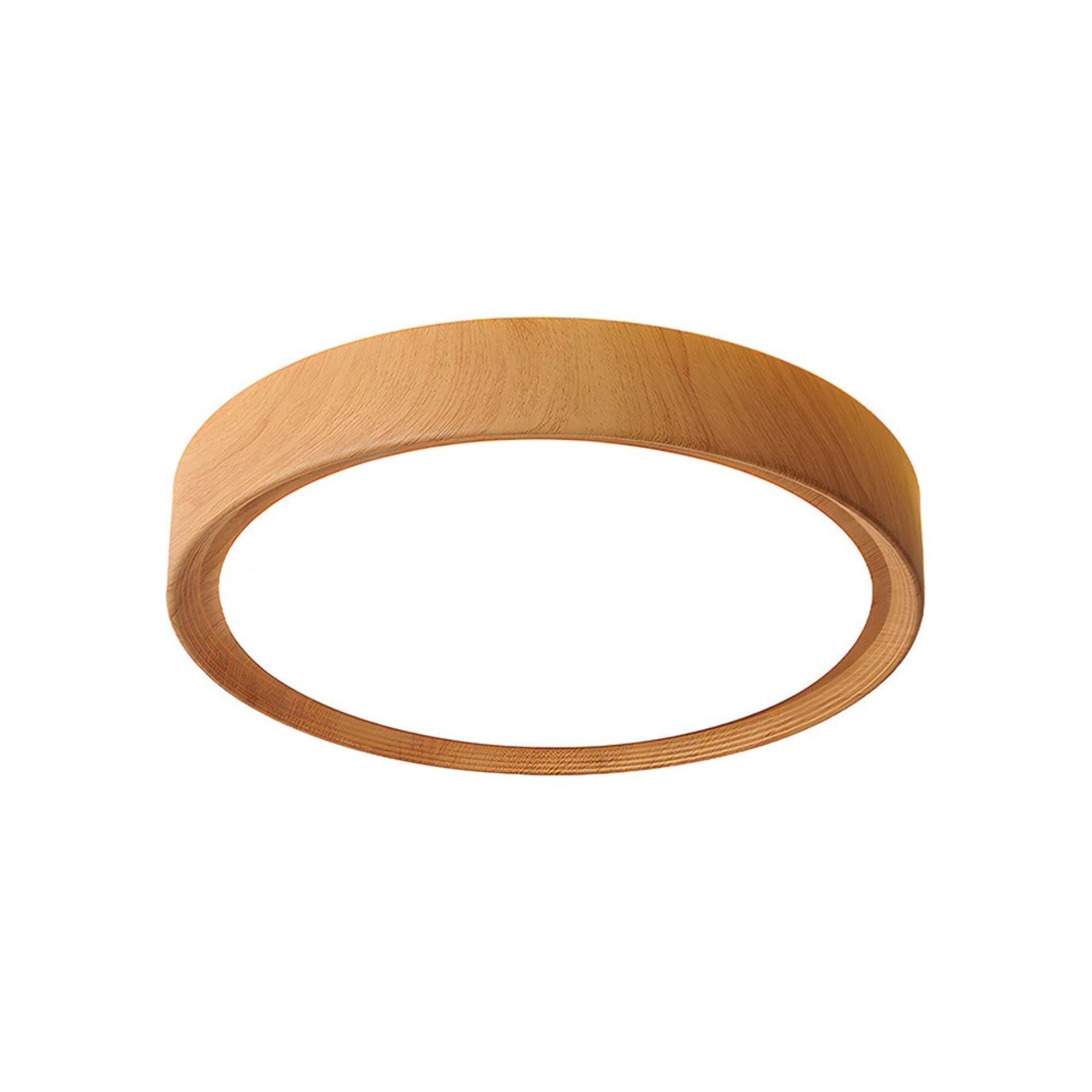Tozon Round Ceiling Light