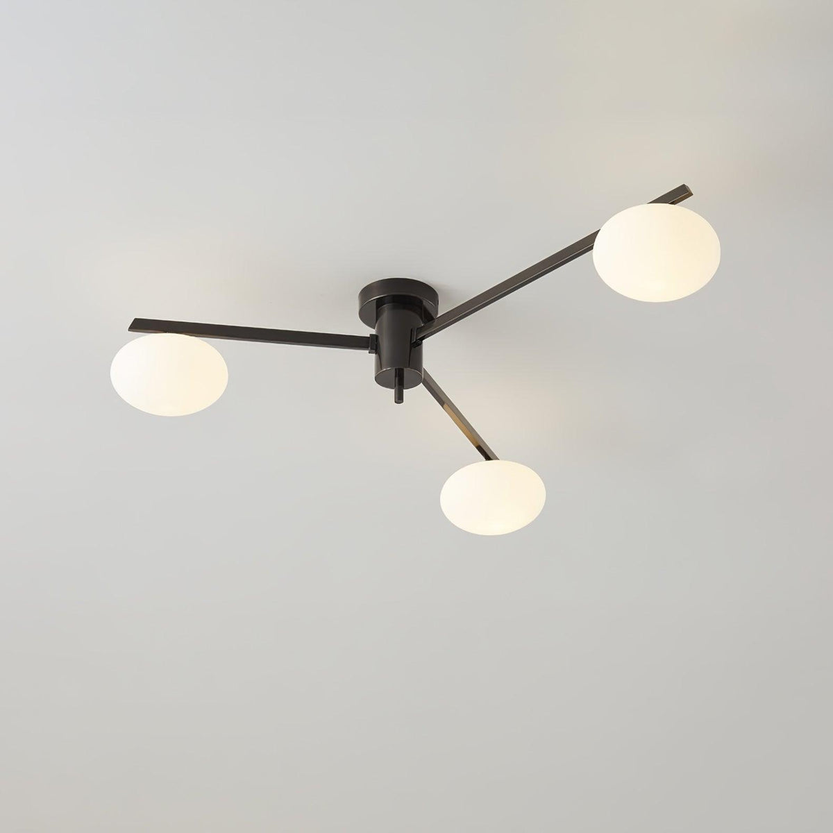 Nololo Modern Ceiling Light