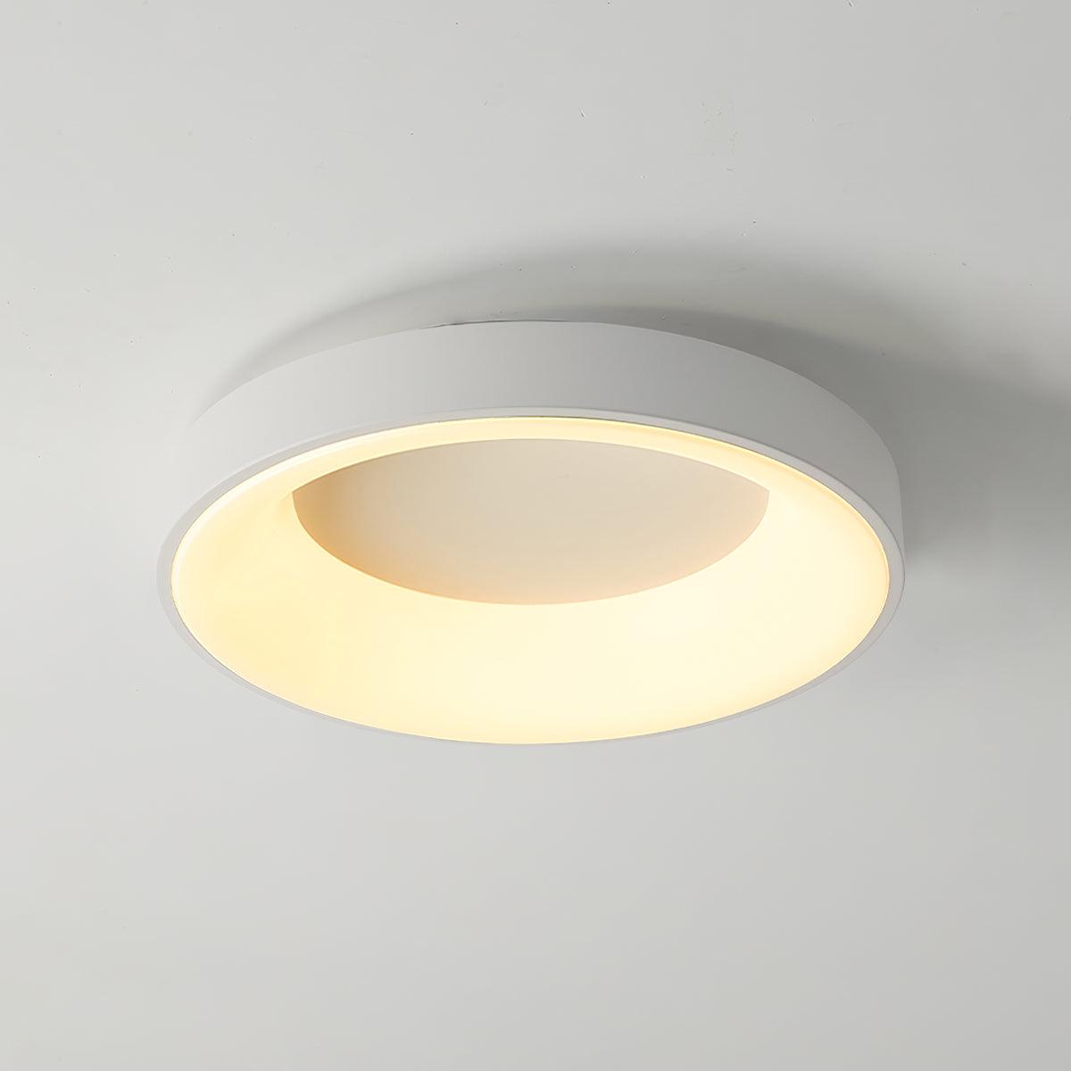 Vapilus Round Ceiling Light