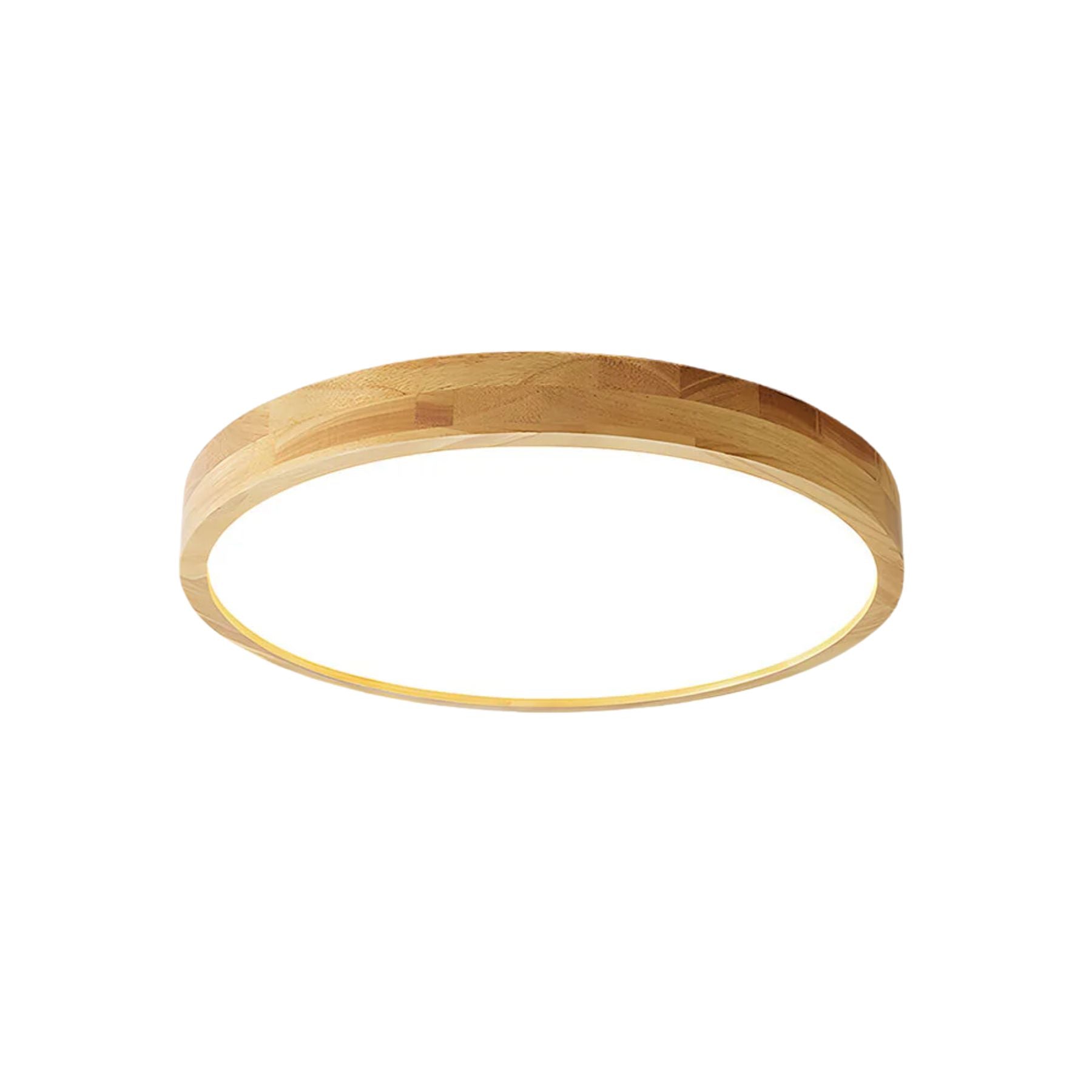 Erlivon Ceiling Light