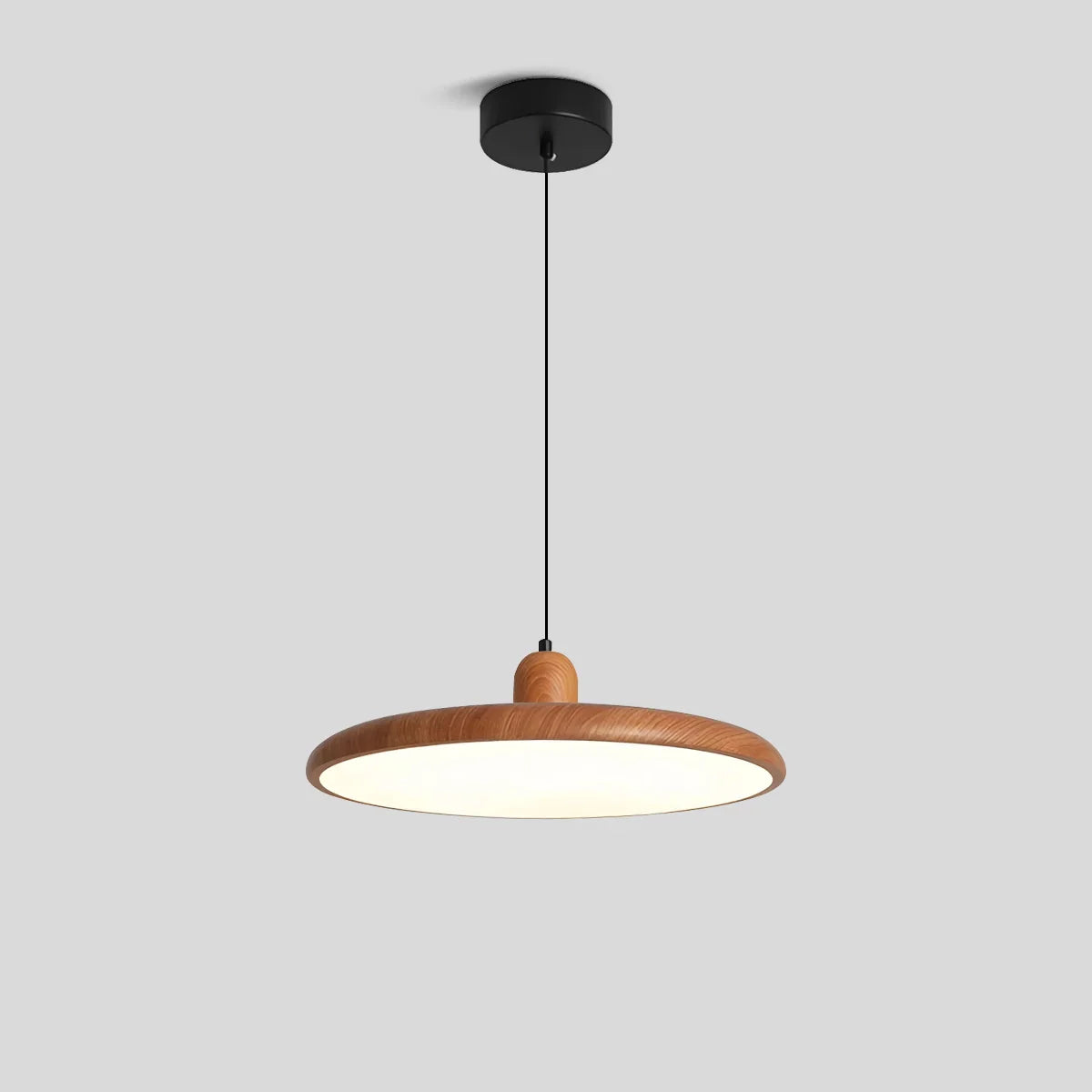 Weluzon Pendant Light