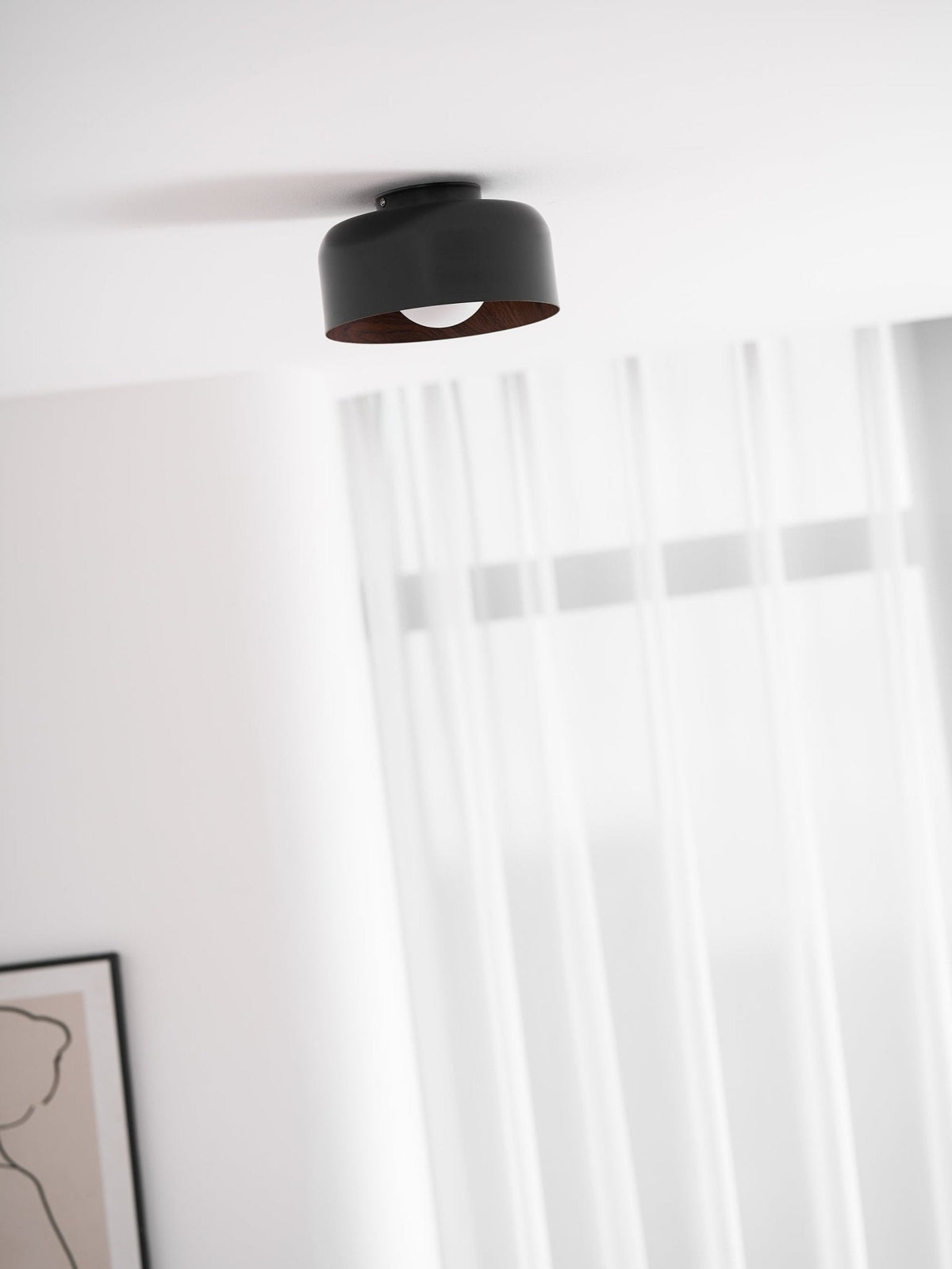 Nakara Globe Ceiling Light