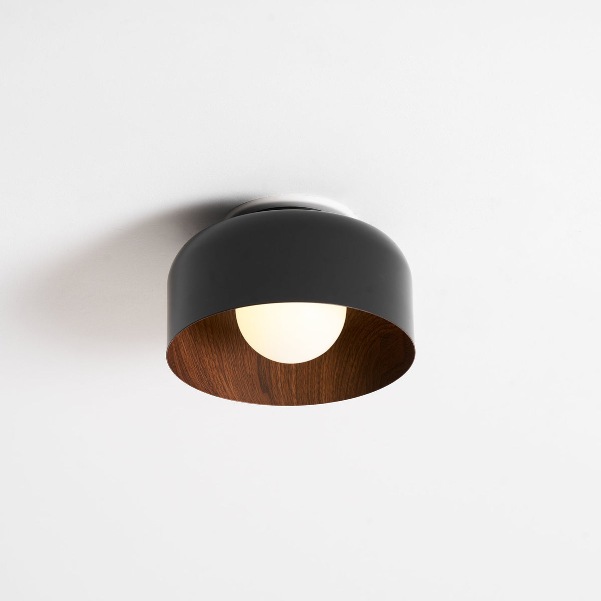 Nakara Globe Ceiling Light