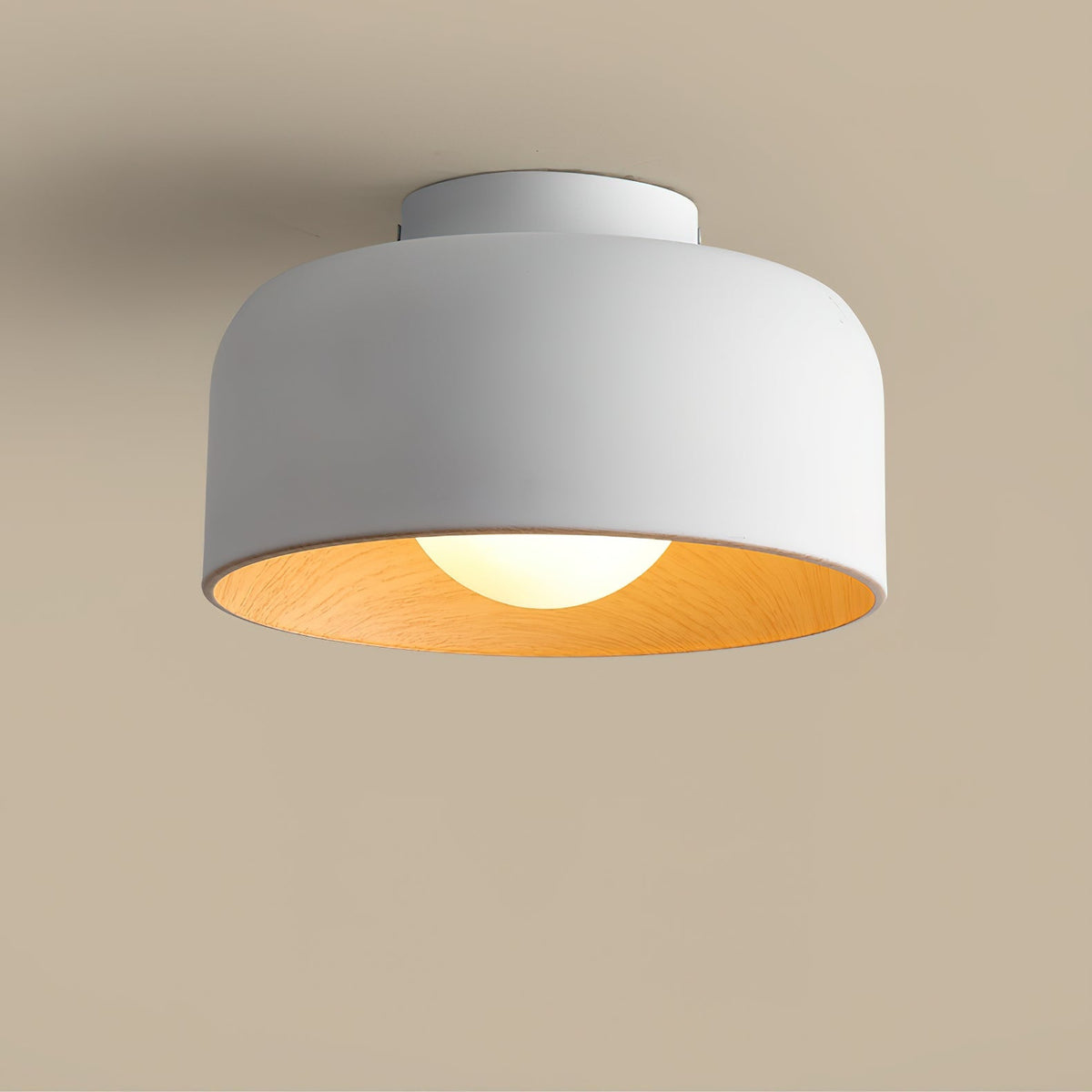 Nakara Globe Ceiling Light