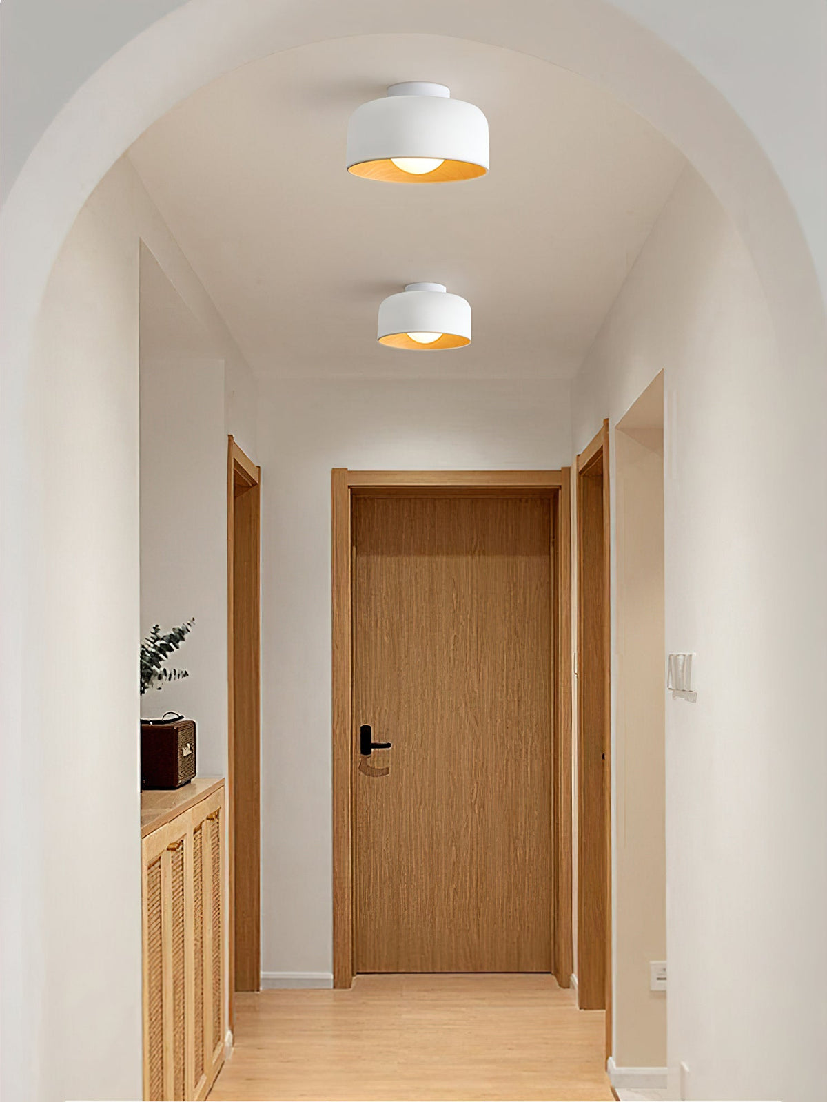 Nakara Globe Ceiling Light