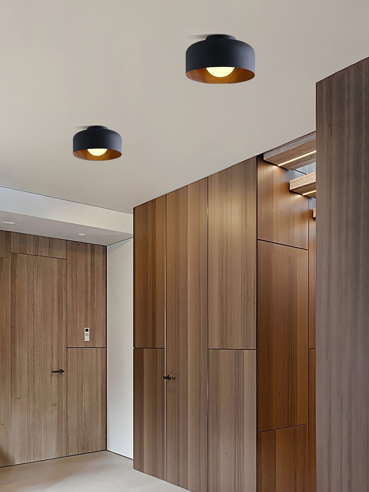 Nakara Globe Ceiling Light
