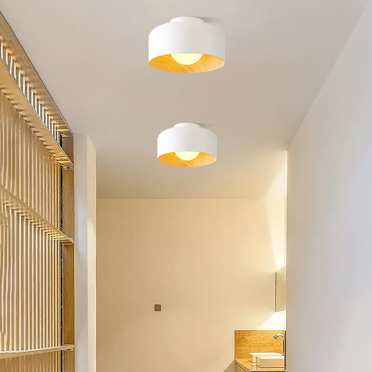 Nakara Globe Ceiling Light