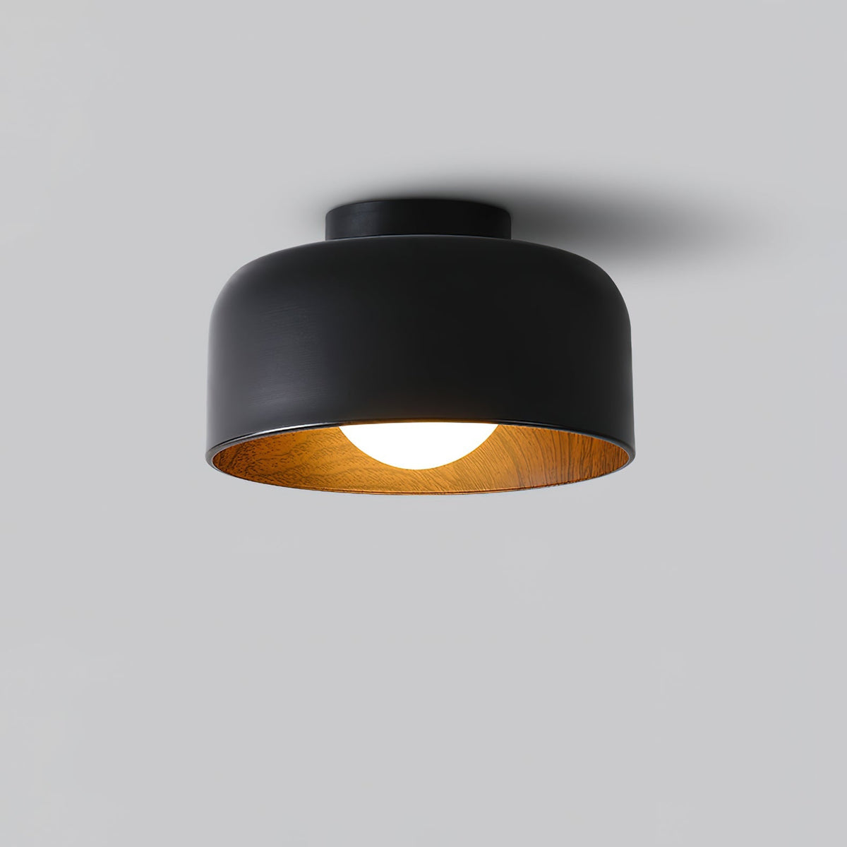 Nakara Globe Ceiling Light